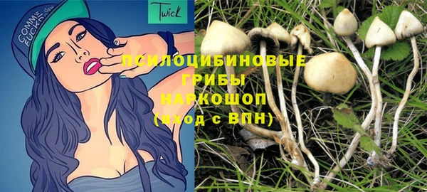 apvp Зеленокумск